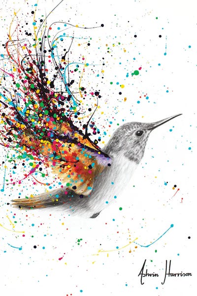 Colorburst: Felicitous Flyer by Ashvin Harrison