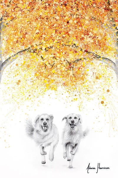 Autumn: The Golden Run by Ashvin Harrison