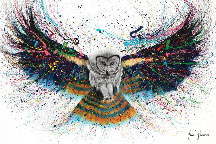 Hypnotic Twilight Owl by Ashvin Harrison wall art