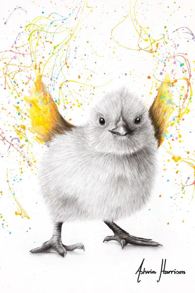 Chickens & Roosters: Chicken Dance by Ashvin Harrison