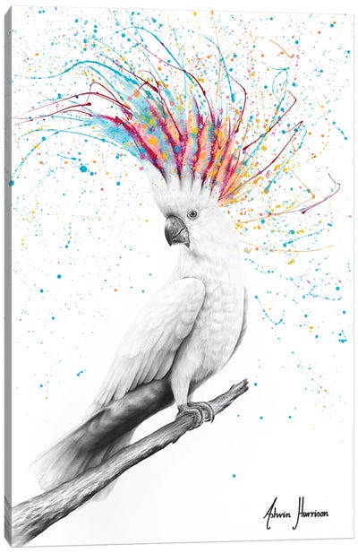 Cool Cockatoo Canvas Art Print - Hyper-Realistic & Detailed Drawings