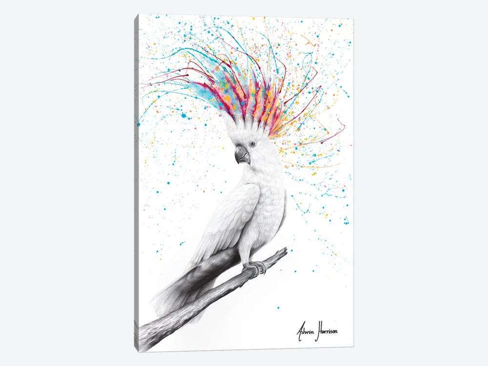Cool Cockatoo by Ashvin Harrison 1-piece Canvas Artwork