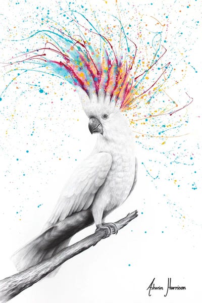 Hyper-Realistic & Detailed Drawings: Cool Cockatoo by Ashvin Harrison