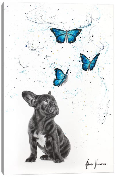 The Daydream Canvas Art Print - French Bulldog Art