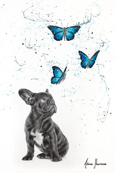 French Bulldogs: The Daydream by Ashvin Harrison