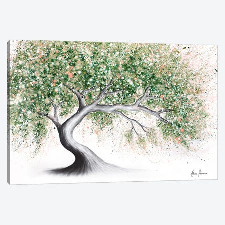 Field Blossom Tree Canvas Print #VIN840} by Ashvin Harrison Canvas Art Print
