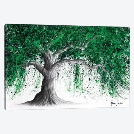 Revealing Rainforest Tree Canvas Print #VIN858} by Ashvin Harrison Canvas Artwork