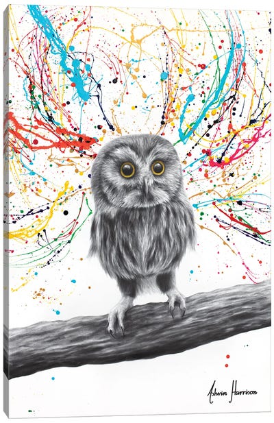 Wild One Canvas Art Print - Owl Art