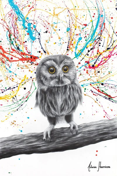 Hyper-Realistic & Detailed Drawings: Wild One by Ashvin Harrison