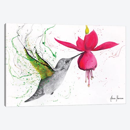 Spring Garden Hummingbird Canvas Print #VIN897} by Ashvin Harrison Canvas Print
