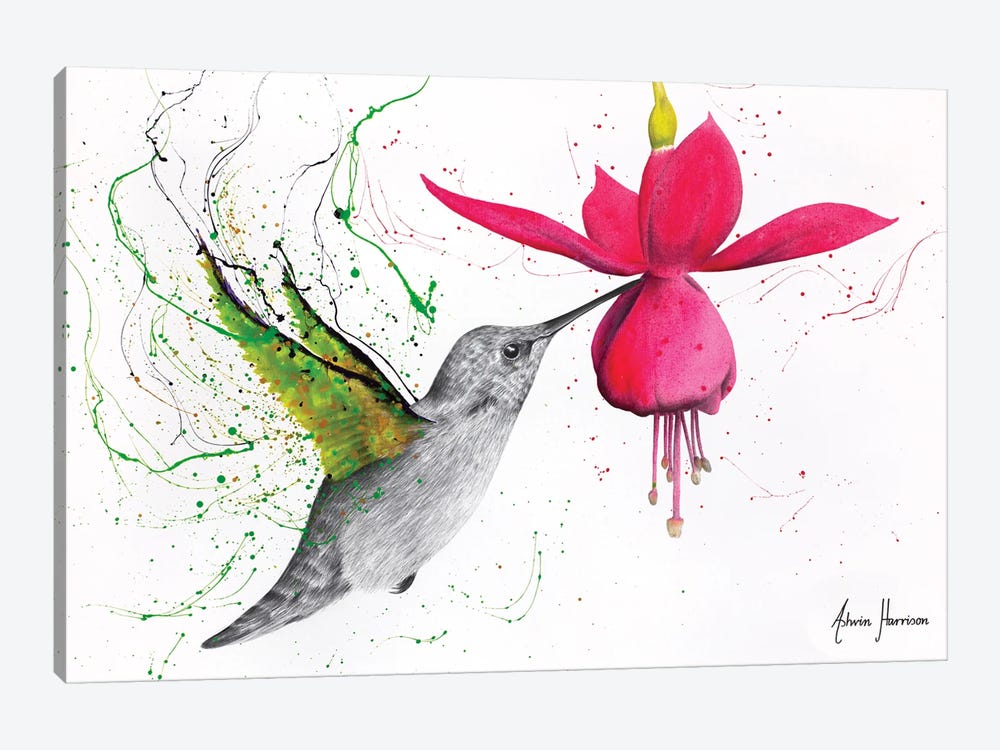 Spring Garden Hummingbird by Ashvin Harrison 1-piece Canvas Art Print
