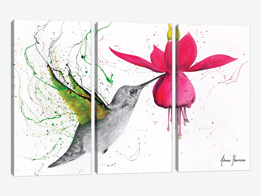 Spring Garden Hummingbird by Ashvin Harrison 3-piece Art Print