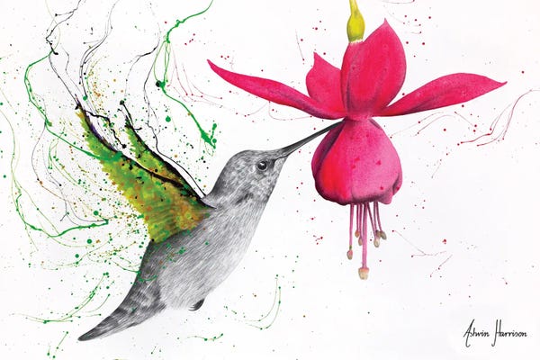 Hyper-Realistic & Detailed Drawings: Spring Garden Hummingbird by Ashvin Harrison