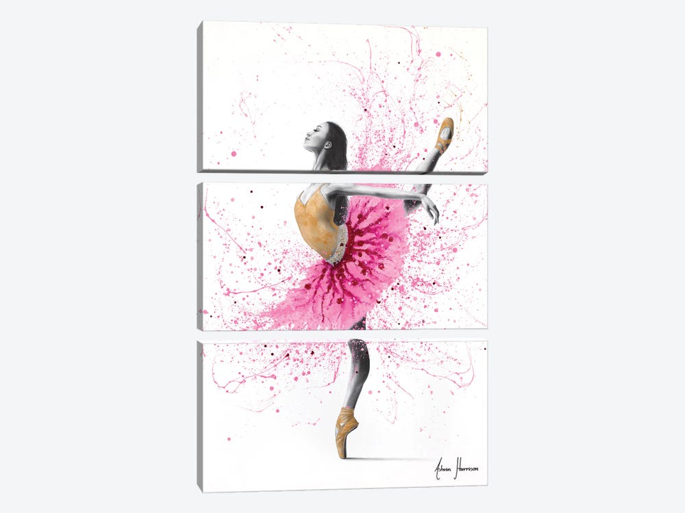 Magnolia Ballerina by Ashvin Harrison 3-piece Canvas Art Print