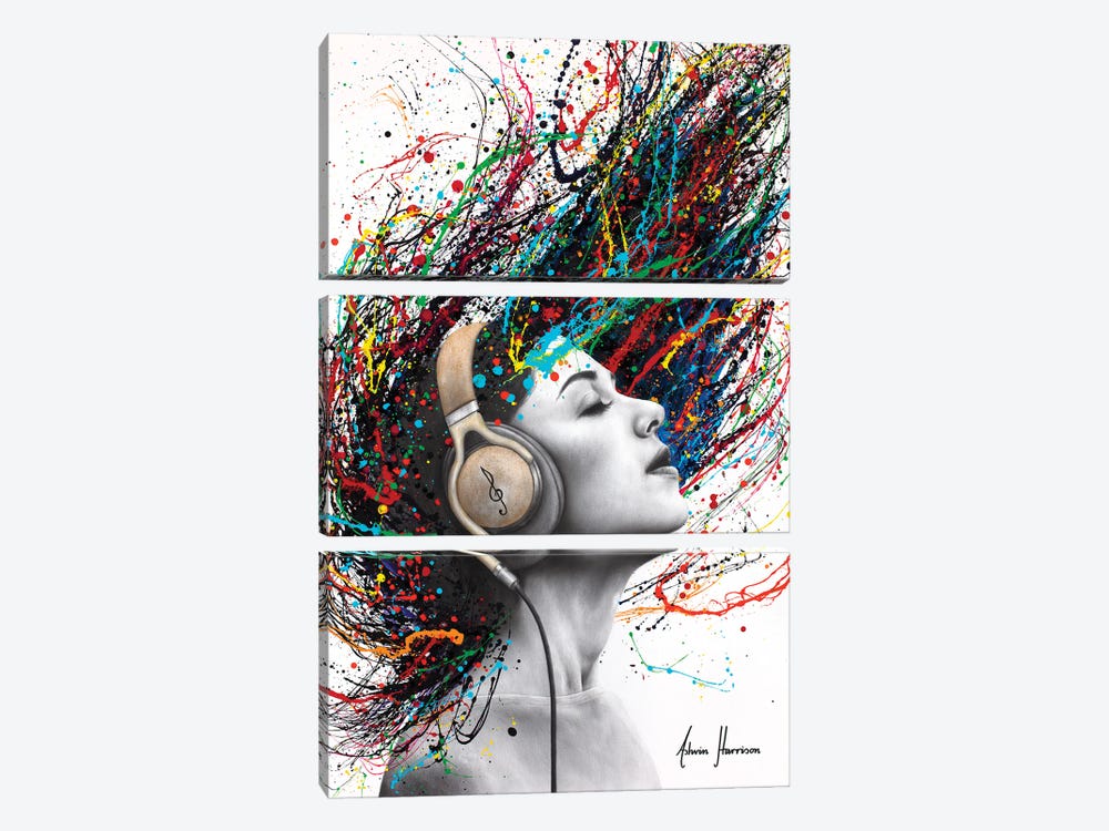Playing Her Tune by Ashvin Harrison 3-piece Canvas Wall Art