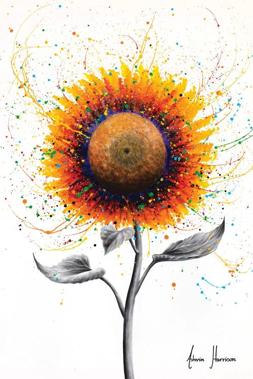 Rainbow Sunflower