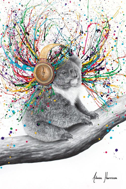 Koala Crescendo by Ashvin Harrison wall art