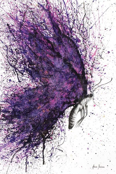 Butterflies: Purple Sky Butterfly by Ashvin Harrison