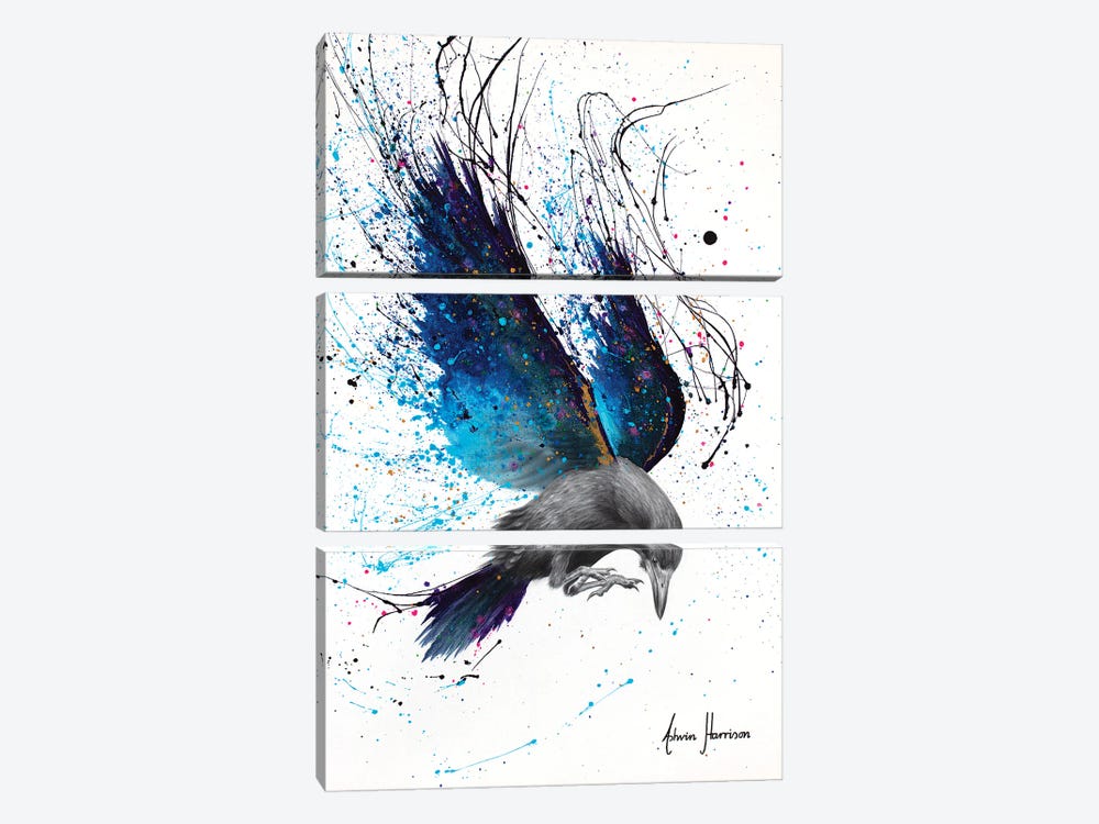 Night Raven by Ashvin Harrison 3-piece Canvas Print