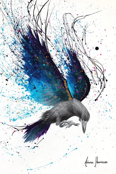 Hyper-Realistic & Detailed Drawings: Night Raven by Ashvin Harrison