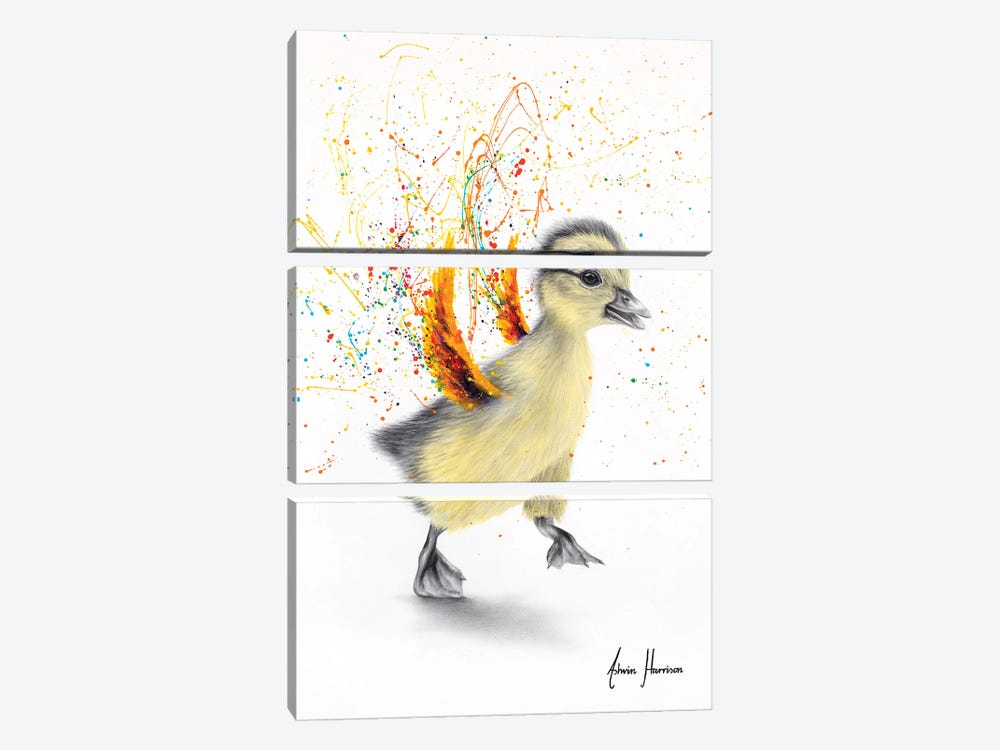Dancing Duckling by Ashvin Harrison 3-piece Art Print