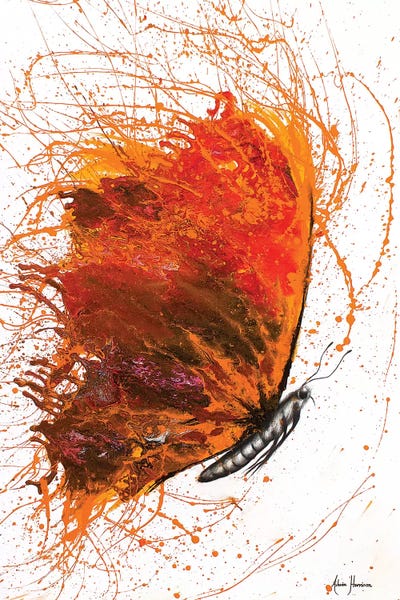 Rhodochrosite Wings Butterfly by Ashvin Harrison canvas print