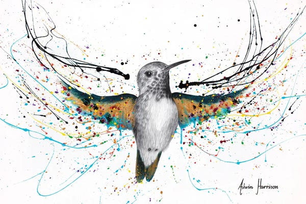 Hummingbirds: Hummingbird Symphony by Ashvin Harrison