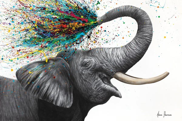 Elephants: Elephant Elation by Ashvin Harrison