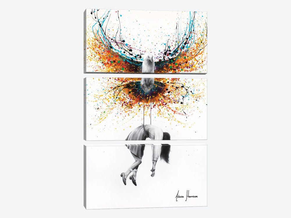 By The Wings Of A Dove by Ashvin Harrison 3-piece Canvas Art Print