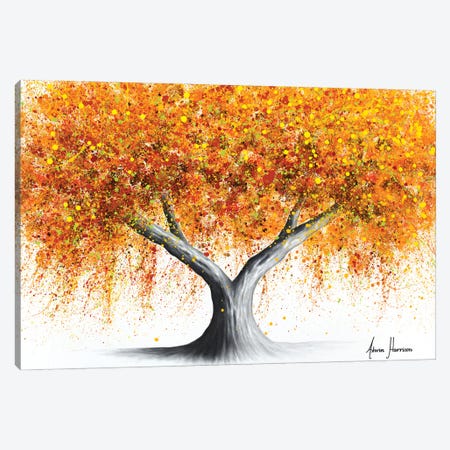 Dusty Outback Tree Canvas Print #VIN968} by Ashvin Harrison Canvas Artwork