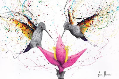 Friendship Hummingbirds by Ashvin Harrison framed canvas print