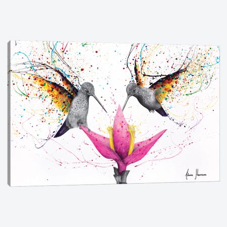 Friendship Hummingbirds Canvas Print #VIN976} by Ashvin Harrison Canvas Wall Art