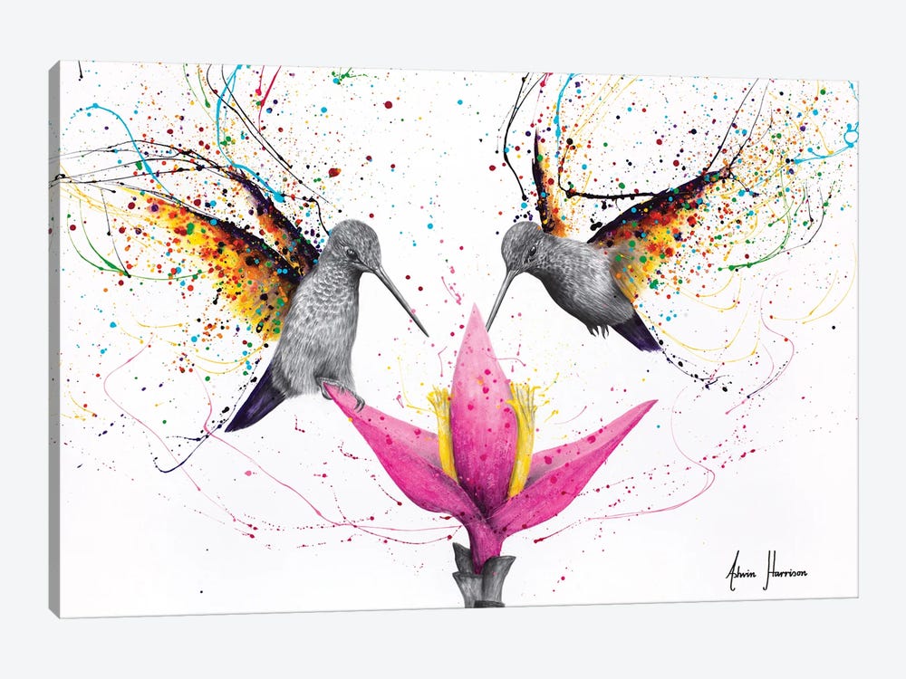 Friendship Hummingbirds by Ashvin Harrison 1-piece Canvas Print