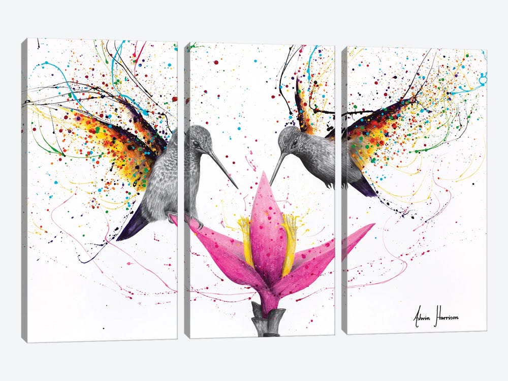 Friendship Hummingbirds by Ashvin Harrison 3-piece Canvas Print