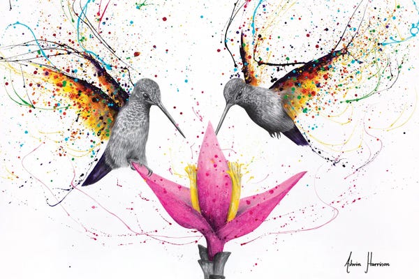 Hyper-Realistic & Detailed Drawings: Friendship Hummingbirds by Ashvin Harrison