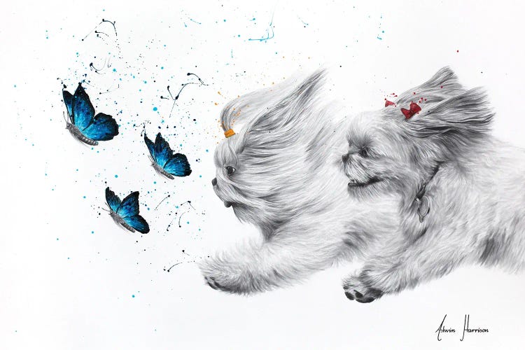 Chasing Butterflies by Ashvin Harrison wall art