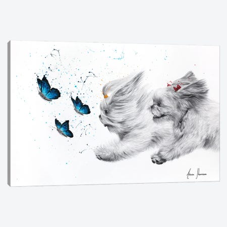 Chasing Butterflies Canvas Print #VIN982} by Ashvin Harrison Canvas Wall Art