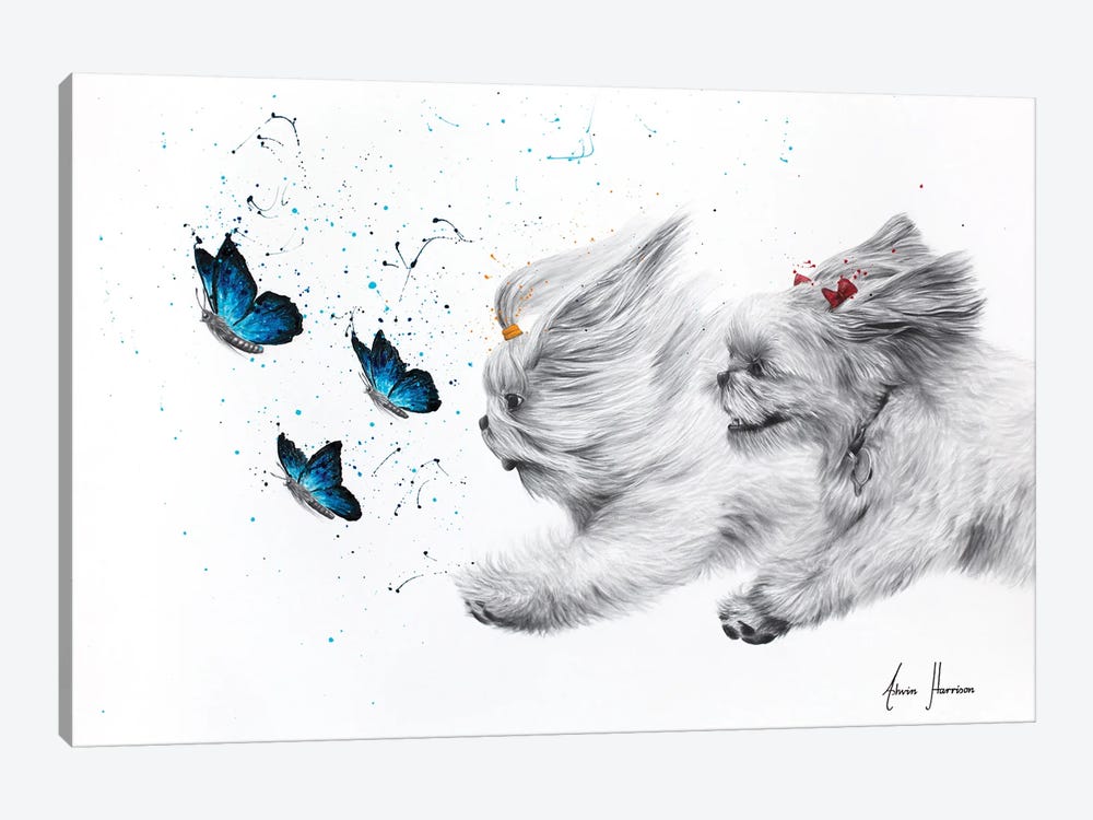 Chasing Butterflies by Ashvin Harrison 1-piece Canvas Art