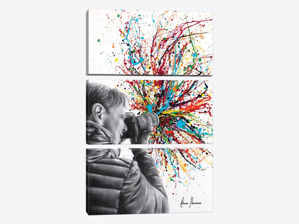 A Feeling Of Photography by Ashvin Harrison 3-piece Canvas Wall Art