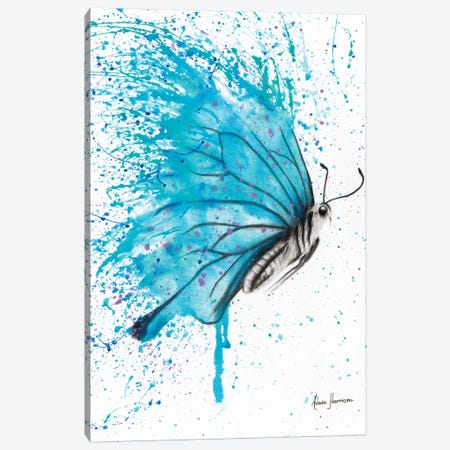 Aqua Butterfly Canvas Print #VIN9} by Ashvin Harrison Art Print