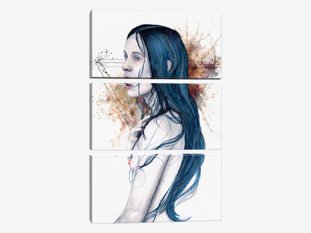 One For Sorrow by Victoria Olt 3-piece Art Print