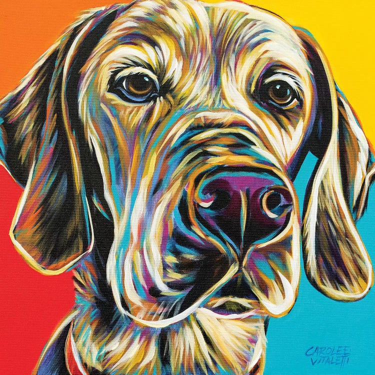 Canine Buddy II by Carolee Vitaletti wall art