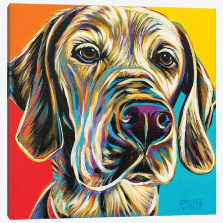 Canine Buddy II Canvas Print #VIT100} by Carolee Vitaletti Art Print