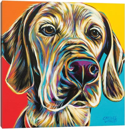 Canine Buddy II Canvas Art Print - Carolee Vitaletti