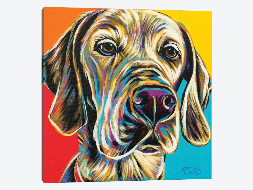 Canine Buddy II by Carolee Vitaletti 1-piece Canvas Art