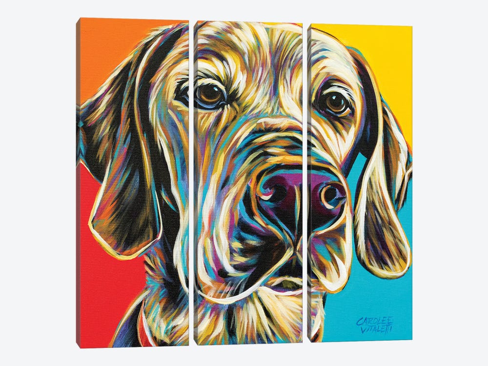 Canine Buddy II by Carolee Vitaletti 3-piece Canvas Wall Art