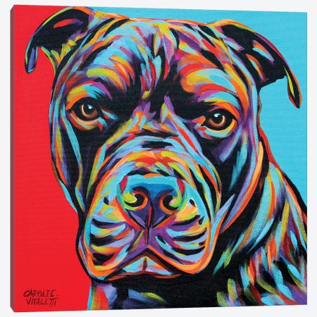 Canine Buddy III Canvas Print #VIT101} by Carolee Vitaletti Canvas Art Print