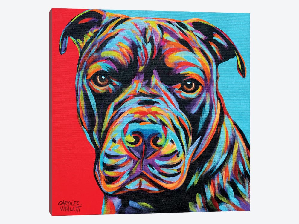 Canine Buddy III 1-piece Canvas Print