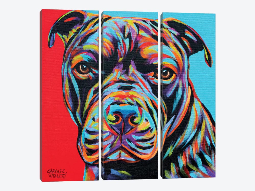Canine Buddy III 3-piece Canvas Art Print