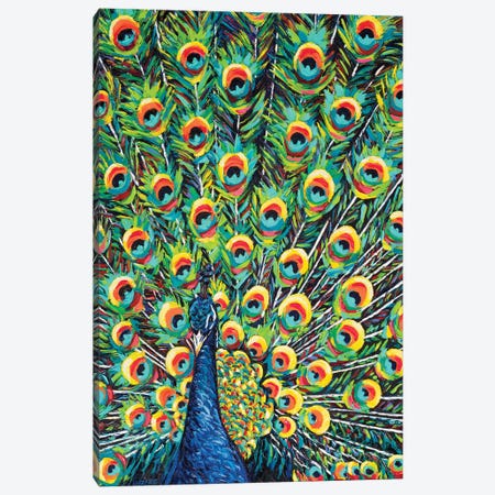 Lavish Peacock I Canvas Print #VIT116} by Carolee Vitaletti Canvas Art Print
